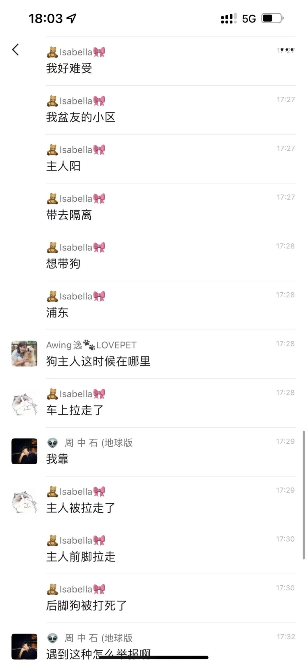 上海之大，已容不下一只小柯基了么？它犯了什么错，竟遭此毒手？！(图2)