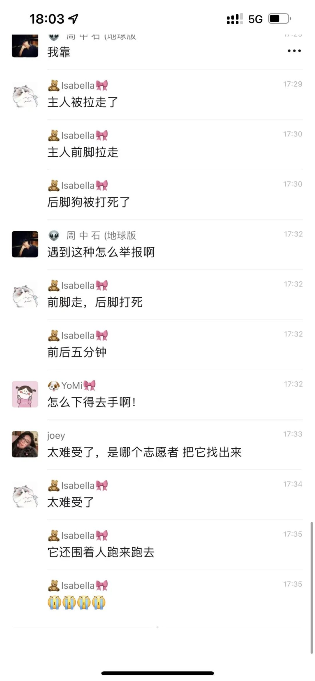 上海之大，已容不下一只小柯基了么？它犯了什么错，竟遭此毒手？！(图3)