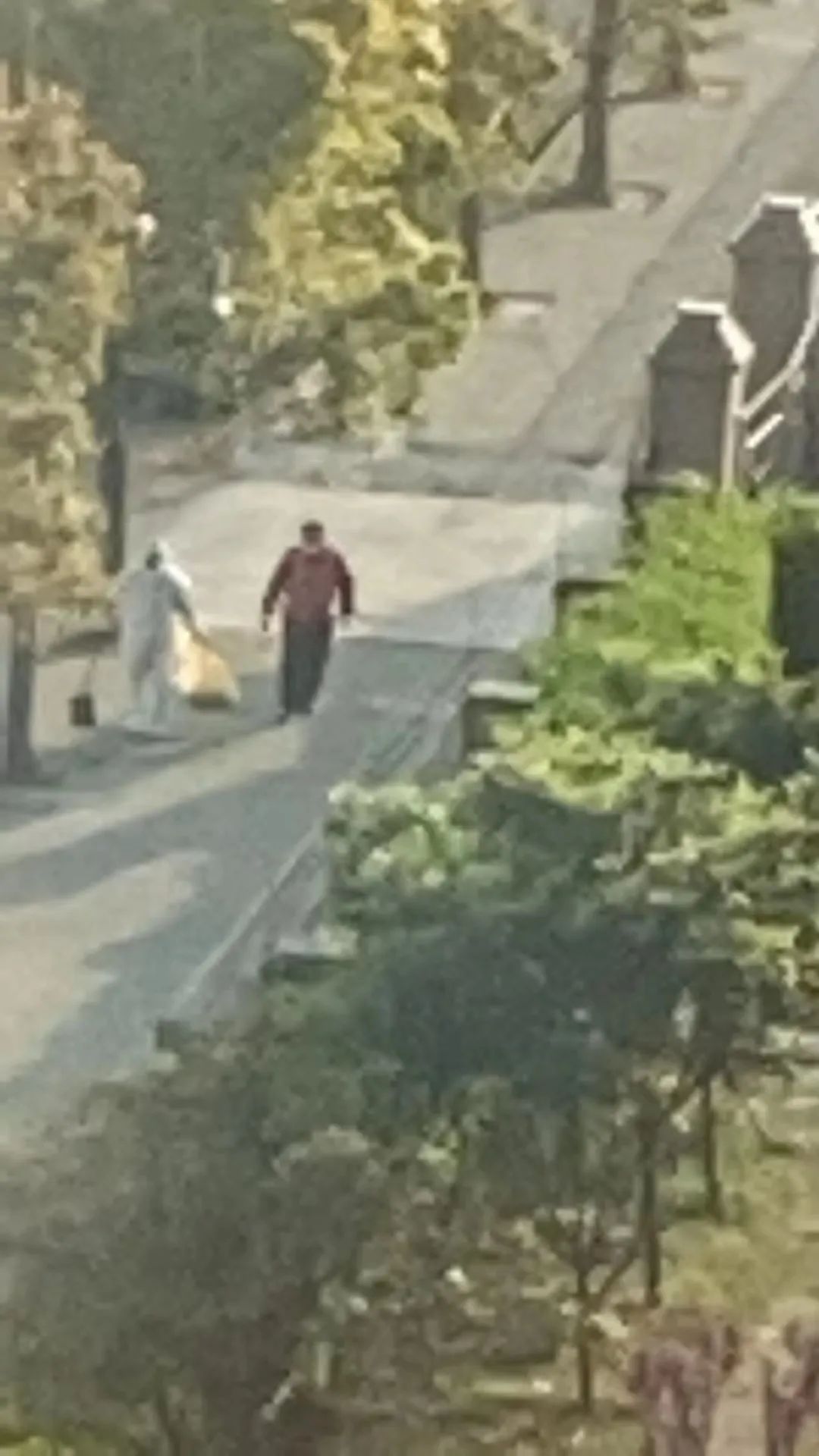 上海之大，已容不下一只小柯基了么？它犯了什么错，竟遭此毒手？！(图7)