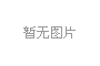 智博会曝50万人参展 极客修智能领域布局首曝光