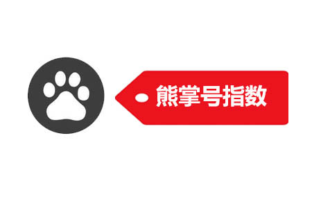 Tag标签是什么意思，如何优化？