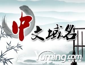 六年前卖出百万美金域名danver.com已被大麻终端启用!