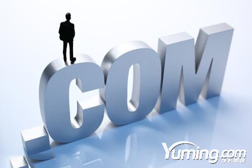 二十年前手工注册的域名，如今价值400亿美元
