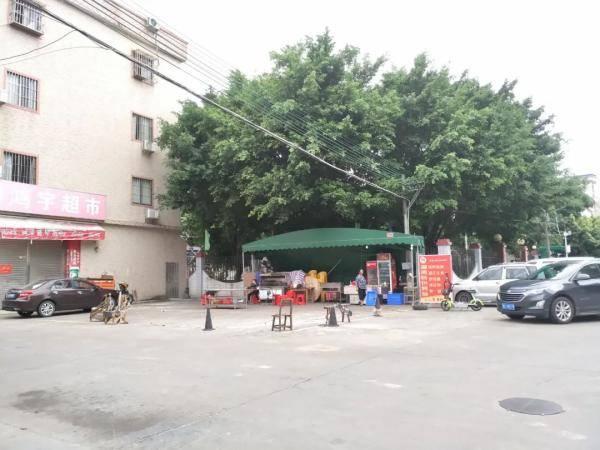 老人被狗绳绊倒身亡，牵狗女孩逃离现场，监控拍下全过程(图6)