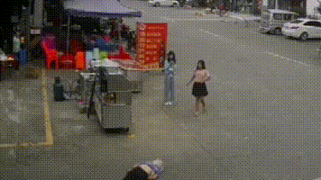 老人被狗绳绊倒身亡，牵狗女孩逃离现场，监控拍下全过程(图3)