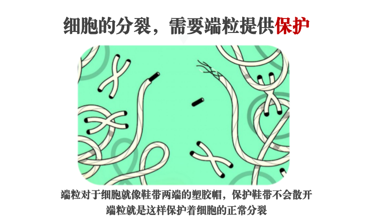 研发气候治疗装备，「4772营养空间」想帮助产后妈妈抗衰老
