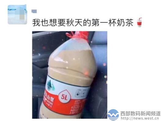 秋天的第一杯奶茶，如何乖乖让好友请你喝